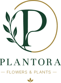 Pharmacy Logo