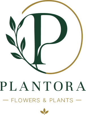 Plantora logo slide 5